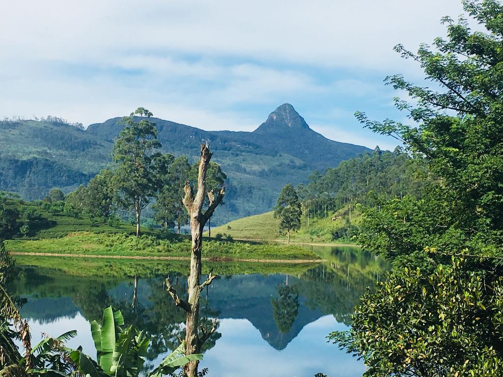 Butterfly Mountain Lake Side Maskeliya Exterior foto